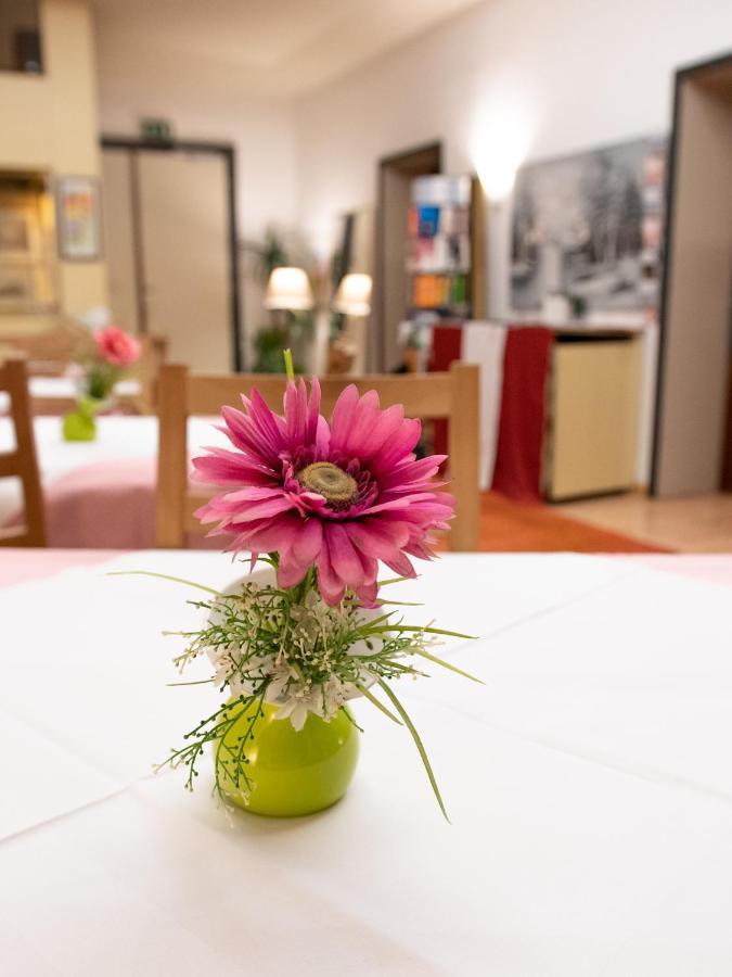 Pension Hotel Mariahilf Viyana Dış mekan fotoğraf