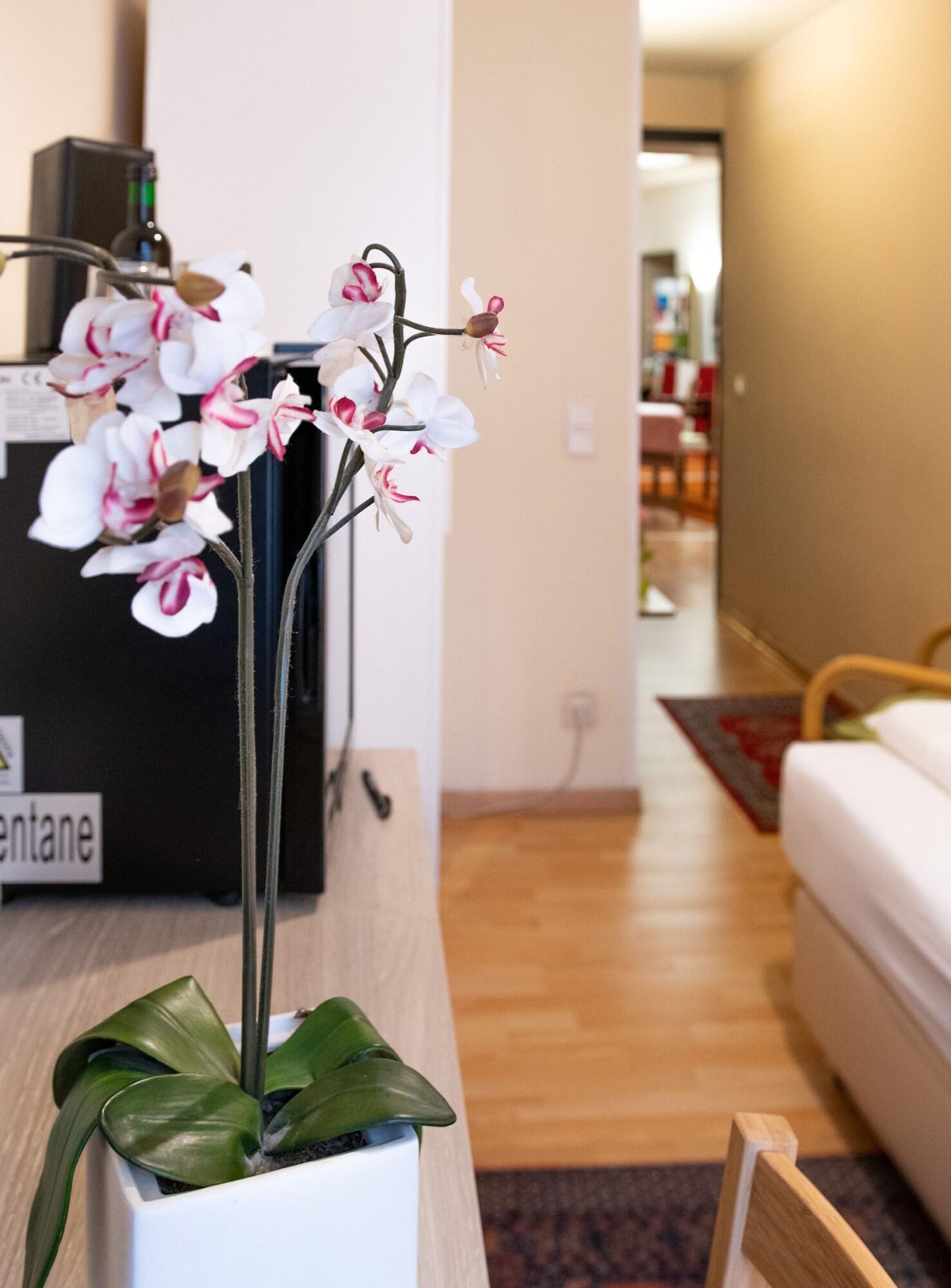 Pension Hotel Mariahilf Viyana Dış mekan fotoğraf